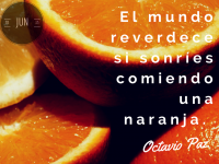 /album/octavio-paz/fresh-png/